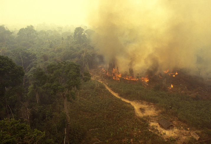The Largest Wildfires In U.S. History